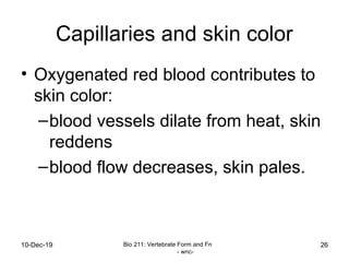 6 - Integumentary system.ppt all about skin | PPT
