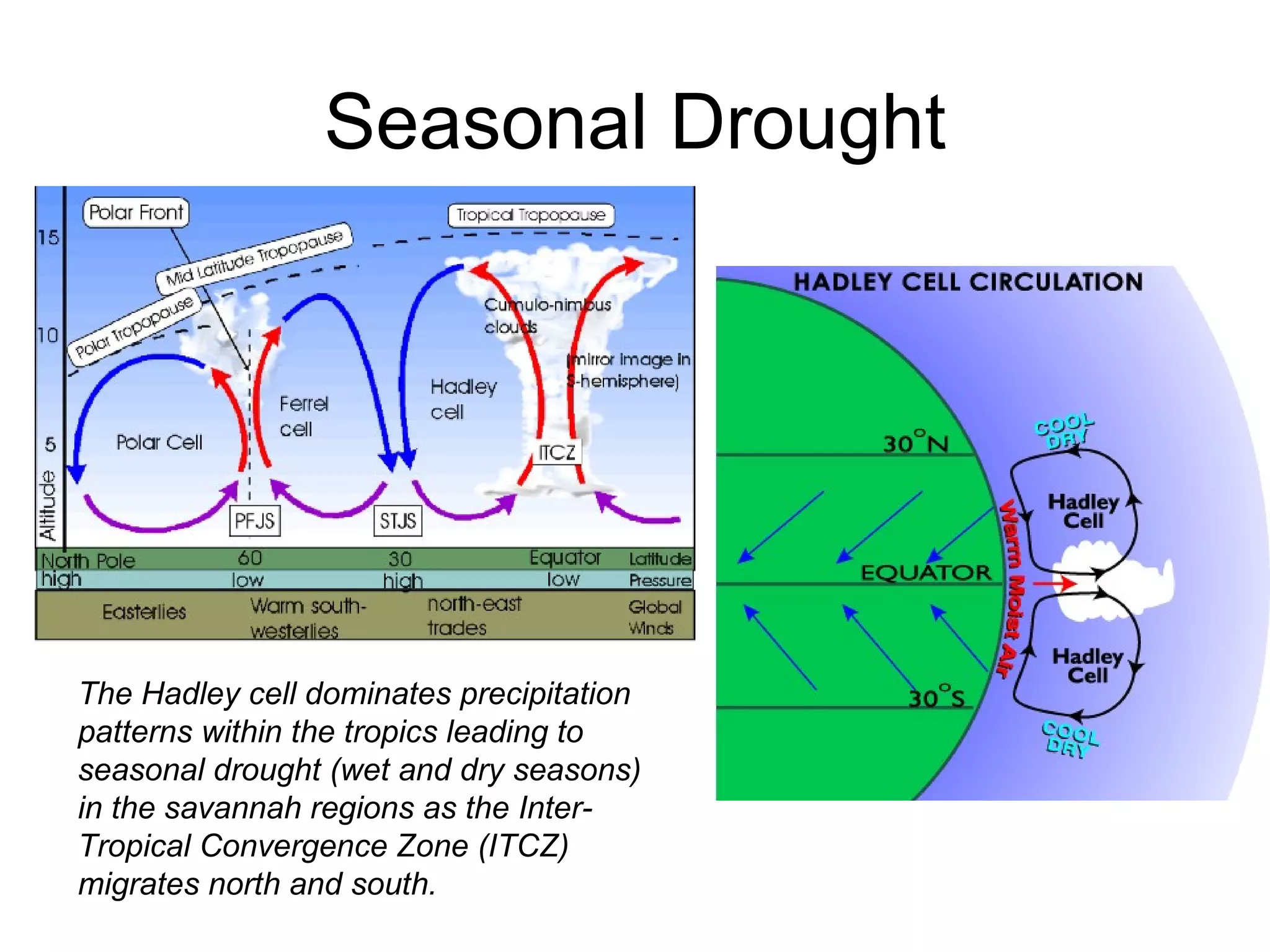 Seasonal Drought The Hadley cell dominates precipitation patterns within the tropics leading to seasonal drought (wet and dry seasons) in the savannah regions as the Inter-Tropical Convergence Zone (ITCZ) migrates north and south.