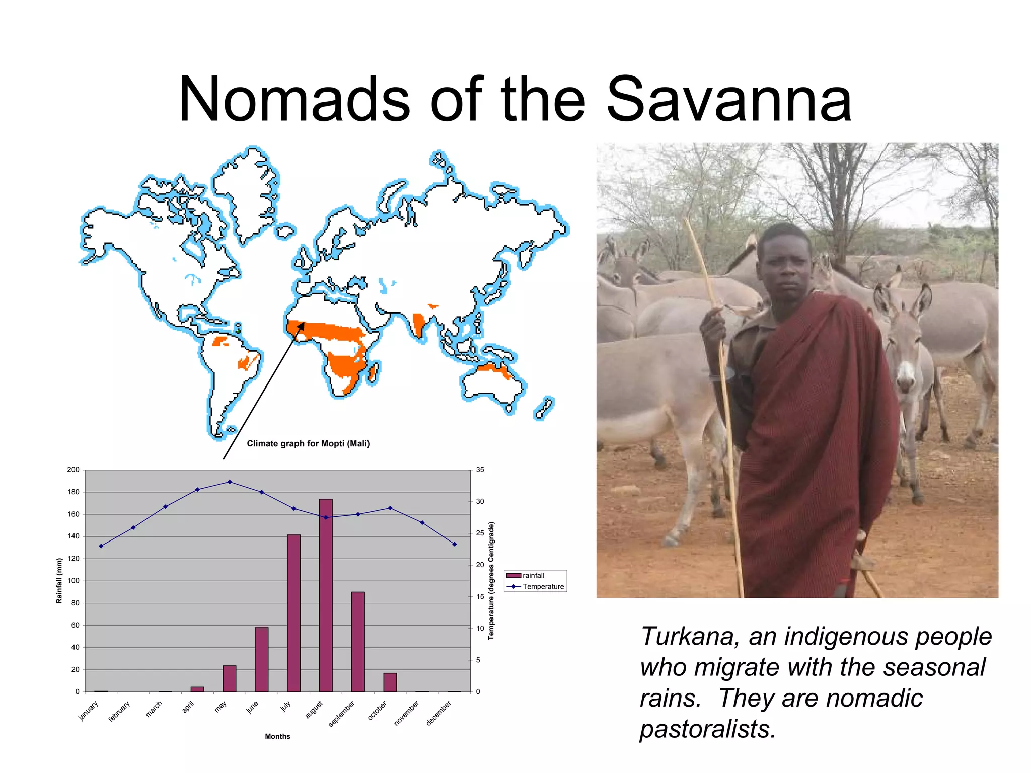 Nomads of the Savanna Turkana, an indigenous people who migrate with the seasonal rains. They are nomadic pastoralists.