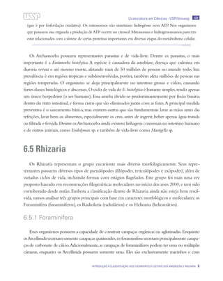 Licenciatura em Ciências · USP/Univesp 109
Introdução à classificação dos eucariontes e estudo dos Amebozoa e Rhizaria 6
(que é por fosforilação oxidativa). Os mitossomos não sintetizam hidrogênio nem ATP. Nos organismos
que possuem essa organela a produção deATP ocorre no citossol.Mitossomos e hidrogenossomos parecem
estar relacionados com a síntese de certas proteínas importantes em diversas etapas do metabolismo celular.
Os Archamoeba possuem representantes parasitas e de vida-livre. Dentre os parasitas, o mais
importante é a Entamoeba histolytica. A espécie é causadora da amebíase, doença que culmina em
diarreia severa e até mesmo morte, afetando mais de 50 milhões de pessoas no mundo todo. Sua
prevalência é em regiões tropicais e subdesenvolvidas, porém, também afeta milhões de pessoas nas
regiões temperadas. O organismo se aloja principalmente no intestino grosso e cólon, causando
fortes danos histológicos e abscessos.O ciclo de vida de E.histolytica é bastante simples,tendo apenas
um único hospedeiro (o ser humano). Essa ameba divide-se predominantemente por fissão binária
dentro do trato intestinal,e forma cistos que são eliminados junto com as fezes.A principal medida
preventiva é o saneamento básico,mas existem outras que são fundamentais:lavar as mãos antes das
refeições, lavar bem os alimentos, especialmente os crus, antes de ingerir, beber apenas água tratada
ou filtrada e fervida.Dentre osArchamoeba ainda existem linhagens comensais no intestino humano
e de outros animais,como Endolymax sp.e também de vida-livre como Mastigella sp.
6.5 Rhizaria
Os Rhizaria representam o grupo eucarionte mais diverso morfologicamente. Seus repre-
sentantes possuem diversos tipos de pseudópodes (filópodes, reticulópodes e axópodes), além de
variados ciclos de vida, incluindo formas com estágios flagelados. Este grupo foi mais uma vez
proposto baseado em reconstruções filogenéticas moleculares no início dos anos 2000,e tem sido
corroborado desde então. Embora a classificação dentro de Rhizaria ainda não esteja bem resol-
vida,vamos analisar três grupos principais com base em caracteres morfológicos e moleculares:os
Foraminifera (foraminíferos), os Radiolaria (radiolários) e os Heliozoa (heliozoários).
6.5.1 Foraminifera
Esses organismos possuem a capacidade de construir carapaças orgânicas ou aglutinadas.Enquanto
osArcellinida secretam somente carapaças quitinoides,os foraminifera secretam principalmente carapa-
ças de carbonato de cálcio.Adicionalmente,as carapaças de foraminíferos podem ter uma ou múltiplas
câmaras, enquanto os Arcellinida possuem somente uma. Eles são exclusivamente marinhos e com
 