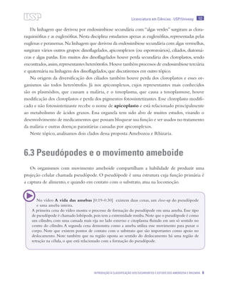 Licenciatura em Ciências · USP/Univesp 102
Introdução à classificação dos eucariontes e estudo dos Amebozoa e Rhizaria 6
Da linhagem que derivou por endossimbiose secundária com “algas verdes” surgiram as clora-
raquiniófitas e as euglenófitas.Nesta disciplina estudamos apenas as euglenófitas,representadas pelas
euglenas e peranemas.Na linhagem que derivou da endossimbiose secundária com algas vermelhas,
surgiram vários outros grupos: dinoflagelados, apicomplexos (ou esporozoários), ciliados, diatomá-
ceas e algas pardas. Em muitos dos dinoflagelados houve perda secundária dos cloroplastos, sendo
encontrados,assim,representantes heterótrofos.Houve também processos de endossimbiose terciária
e quaternária na linhagem dos dinoflagelados,que discutiremos em outro tópico.
Na origem da diversificação dos ciliados também houve perda dos cloroplastos e esses or-
ganismos são todos heterótrofos. Já nos apicomplexos, cujos representantes mais conhecidos
são os plasmódios, que causam a malária, e o toxoplasma, que causa a toxoplasmose, houve
modificação dos cloroplastos e perda dos pigmentos fotossintetizantes. Esse cloroplasto modifi-
cado e não fotossintetizante recebe o nome de apicoplasto e está relacionado principalmente
ao metabolismo de ácidos graxos. Essa organela tem sido alvo de muitos estudos, visando o
desenvolvimento de medicamentos que possam bloquear sua função e ser usados no tratamento
da malária e outras doenças parasitárias causadas por apicomplexos.
Neste tópico, analisamos dois clados dessa proposta:Amebozoa e Rhizaria.
6.3 Pseudópodes e o movimento ameboide
Os organismos com movimento ameboide compartilham a habilidade de produzir uma
projeção celular chamada pseudópode. O pseudópode é uma estrutura cuja função primária é
a captura de alimento, e quando em contato com o substrato, atua na locomoção.
No vídeo A vida das amebas [0:19-0:30] existem duas cenas, um close-up do pseudópode
e uma ameba inteira.
A primeira cena do vídeo mostra o processo de formação do pseudópode em uma ameba. Esse tipo
de pseudópode é chamado lobópode,pois tem a extremidade romba.Note que o pseudópode é como
um cilindro, com uma camada mais rija no lado externo e citoplasma fluindo em um só sentido no
centro do cilindro. A segunda cena demonstra como a ameba utiliza esse movimento para puxar o
corpo. Note que existem pontos de contato com o substrato que são importantes como apoio no
deslocamento. Note também que na região oposta ao sentido do deslocamento há uma região de
retração na célula, o que está relacionado com a formação do pseudópode.
 