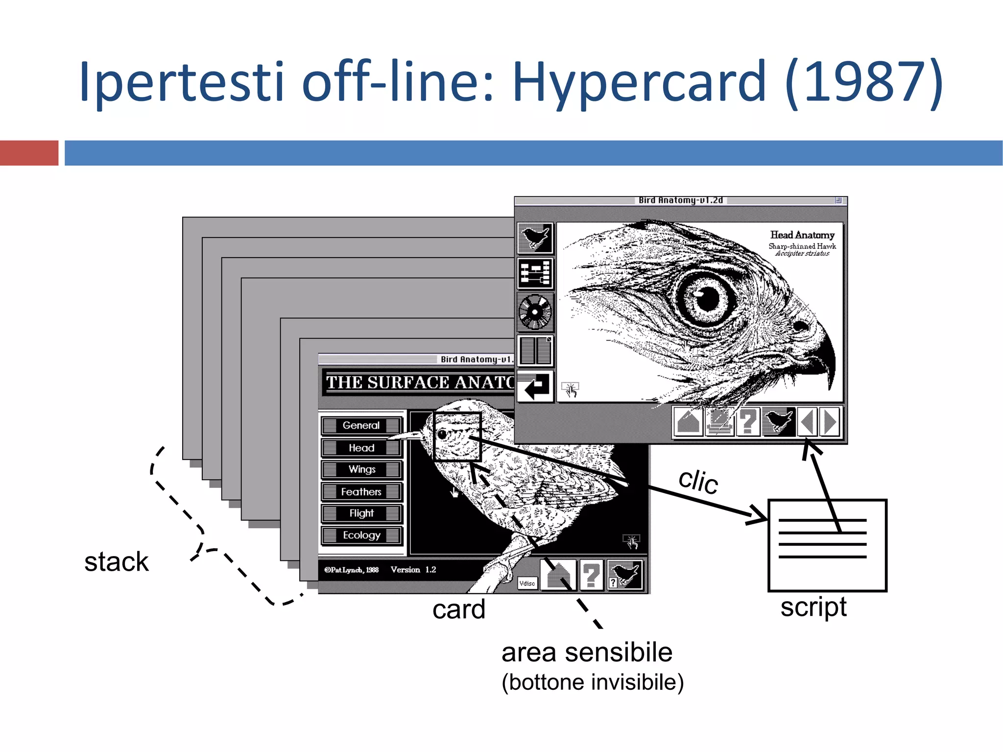 Ipertesti off-line: Hypercard (1987) stack card area sensibile (bottone invisibile) script clic 