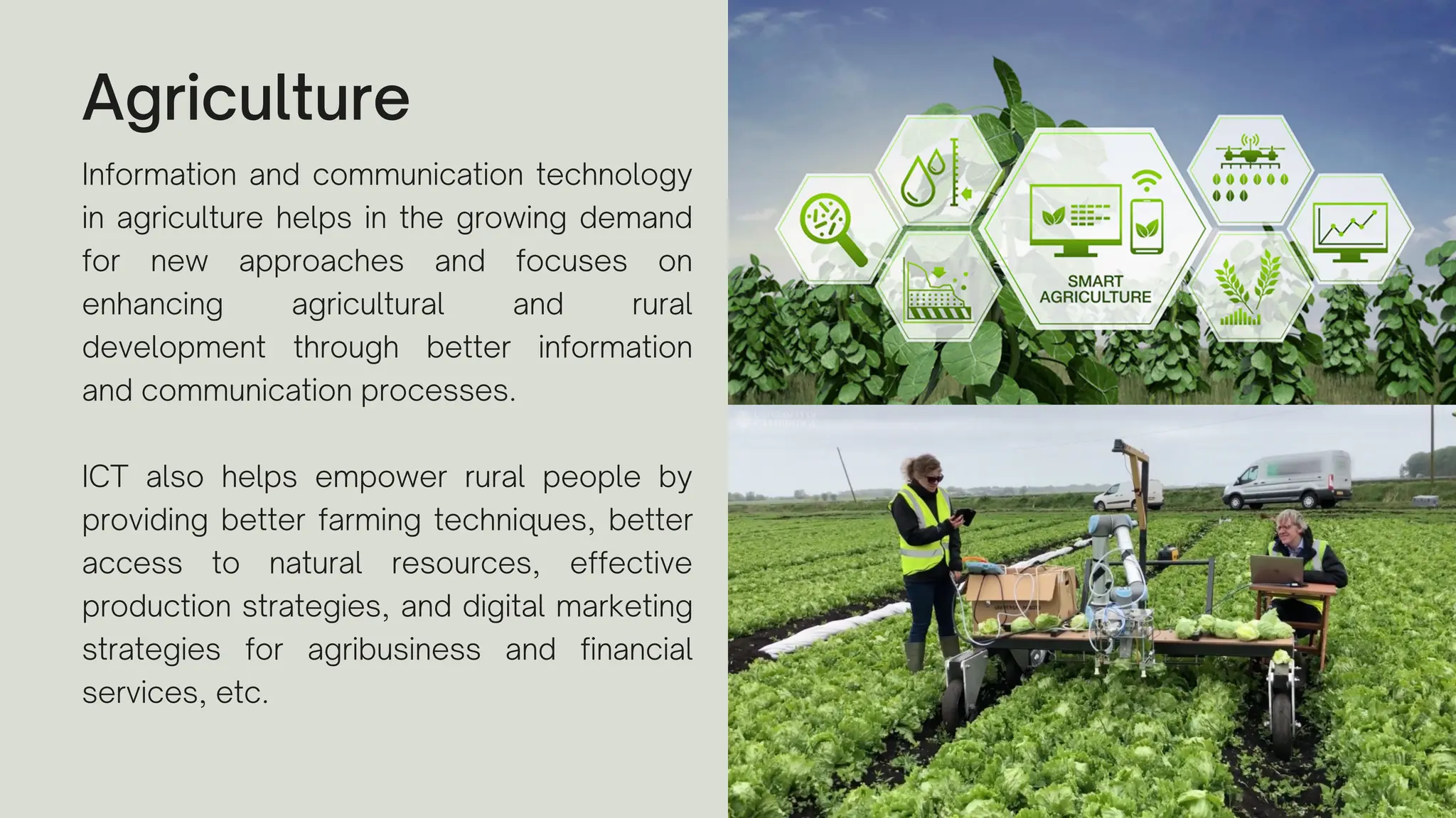 Agriculture
Information and communication technology
in agriculture helps in the growing demand
for new approaches and focuses on
enhancing agricultural and rural
development through better information
and communication processes.
ICT also helps empower rural people by
providing better farming techniques, better
access to natural resources, effective
production strategies, and digital marketing
strategies for agribusiness and financial
services, etc.
 
