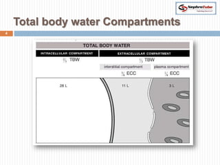 Total body water Compartments
4
 