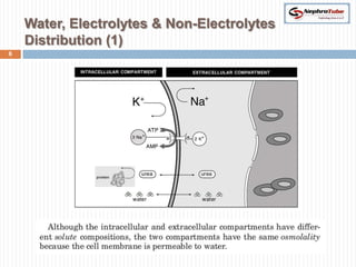 Water, Electrolytes & Non-Electrolytes
    Distribution (1)
6
 
