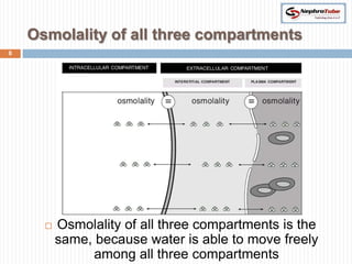 Osmolality of all three compartments
8




         Osmolality of all three compartments is the
          same, because water is able to move freely
                among all three compartments
 
