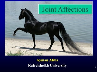 Ayman Atiba
Kafrelsheikh University 1
Joint Affections
 
