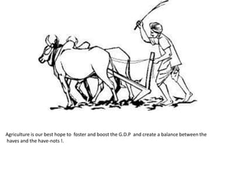 Agriculture is our best hope to foster and boost the G.D.P and create a balance between the
haves and the have-nots !.
 