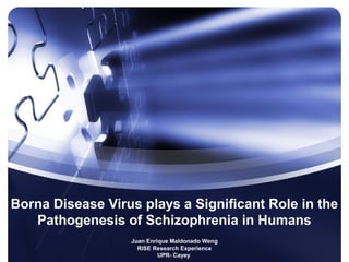Borna Disease Virus plays a Significant Role in the
Pathogenesis of Schizophrenia in Humans
Juan Enrique Maldonado Weng
RISE Research Experience
UPR- Cayey
 