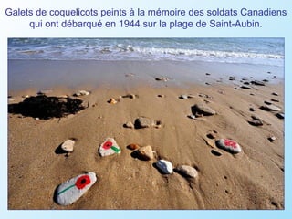 Galets de coquelicots peints à la mémoire des soldats Canadiens
     qui ont débarqué en 1944 sur la plage de Saint-Aubin.
 