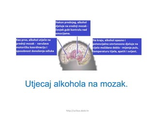 http://ucilica.skole.hr
Utjecaj alkohola na mozak.
 