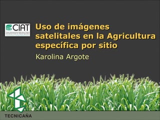 Espacio para
  colocar
  el Logo
               Uso de imágenes
               satelitales en la Agricultura
               específica por sitio
               Karolina Argote
 