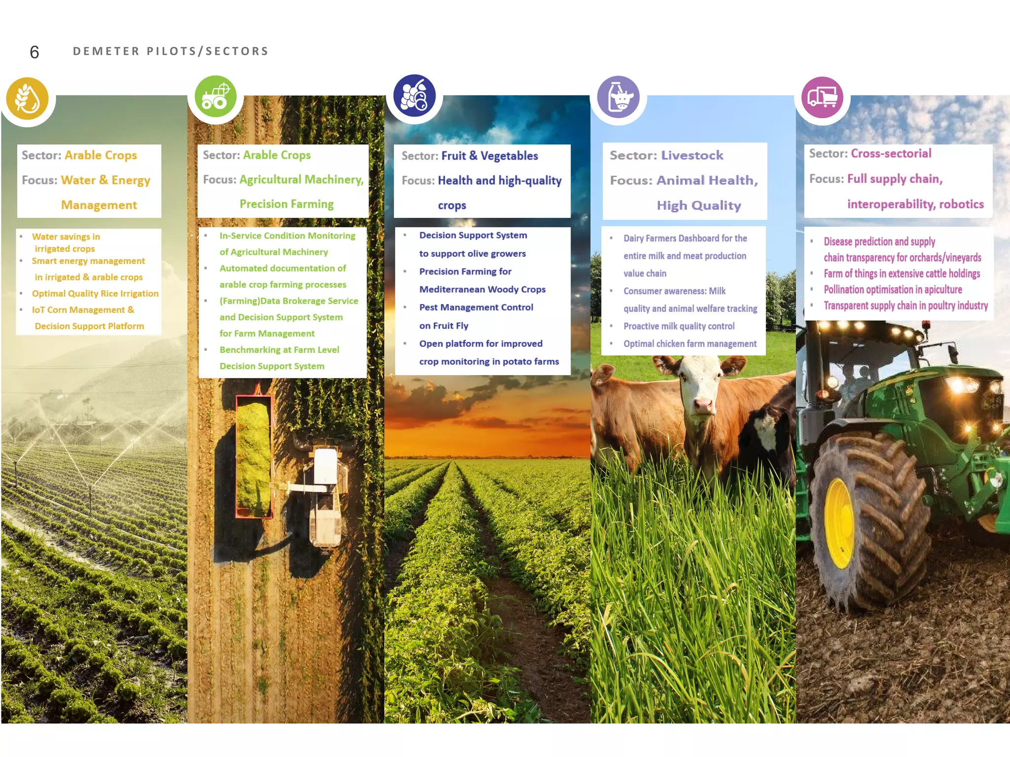 Advancing the agri-food value chain from large scale deployment and ...