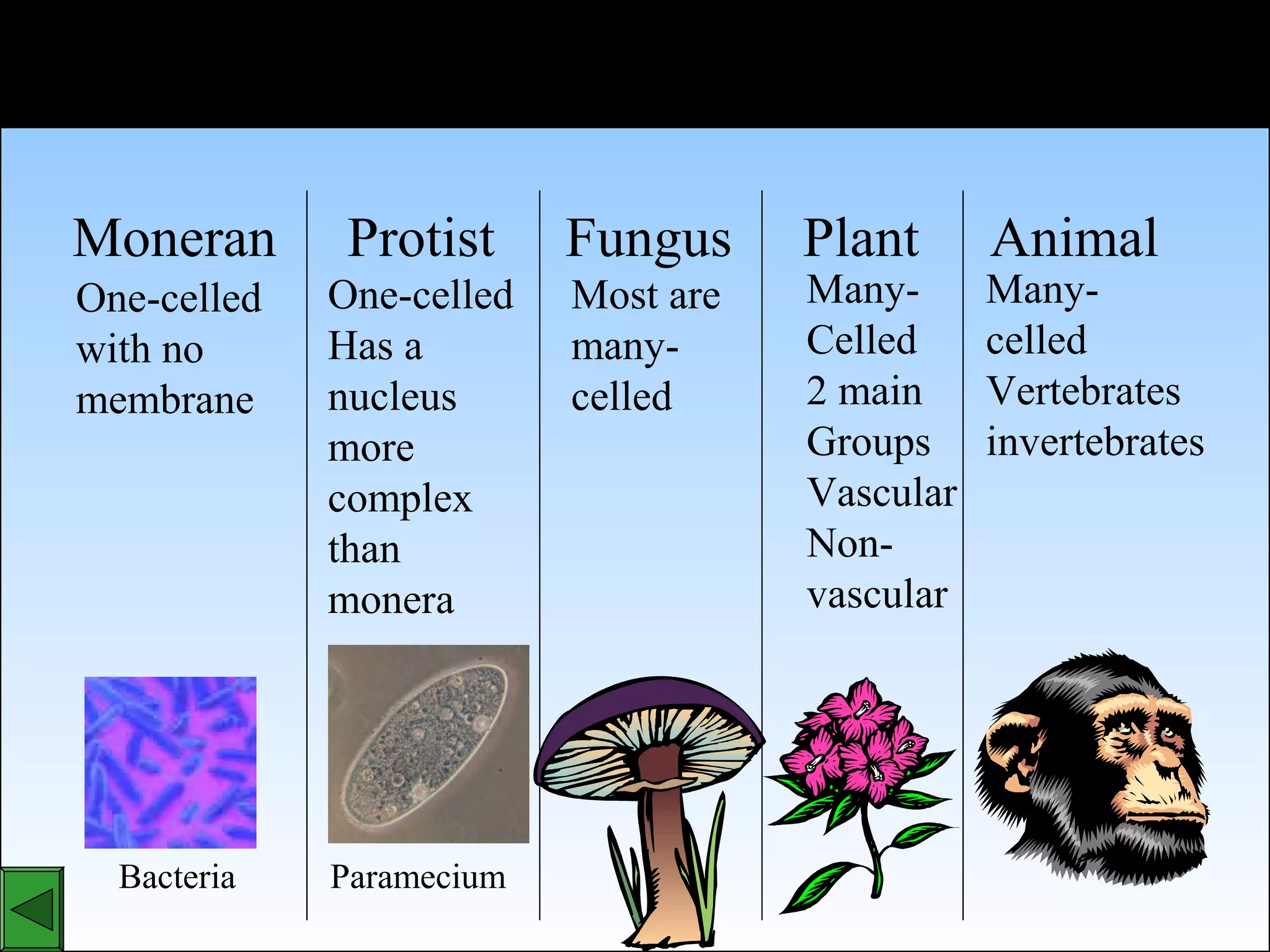kingdoms of life | PPT