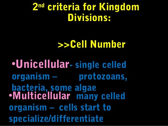 Unicellular E2 80 A2 Multicellula R 10 3rd Criteria For Kingdom Unicellular E2 80 A2 Multicellula R 10 3rd Criteria For Kingdom