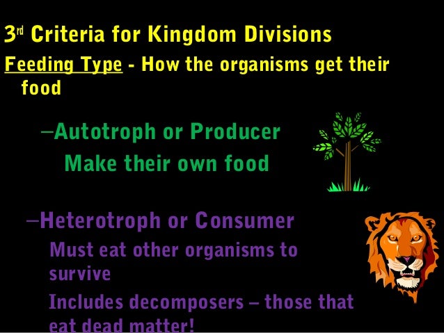 Eubacteria 12 6 Kingdoms Eubacteria 12 6 Kingdoms