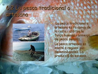 6.2 La pesca tradicional o artesana La pesca tradicional o artesana és fa aprop de la costa i utilitza la força humana i ormeigs de pesca senzills. La pesca artesana es manté a regions poc desenvolupades. La producció és escassa. 