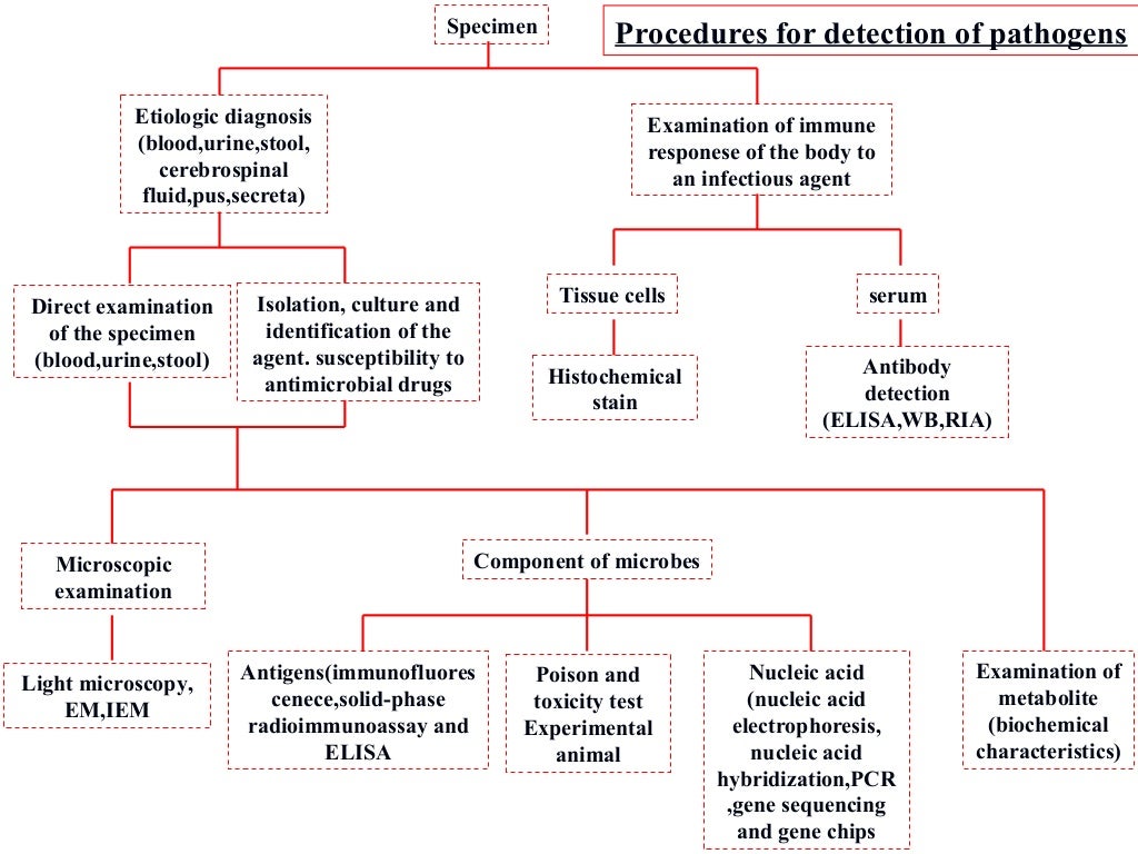 6 laboratory diagnosis of bacterial infection