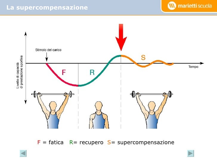 6 l'allenamento sportivo team
