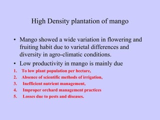 High Density plantation of mango
• Mango showed a wide variation in flowering and
fruiting habit due to varietal differences and
diversity in agro-climatic conditions.
• Low productivity in mango is mainly due
1. To low plant population per hectare,
2. Absence of scientific methods of irrigation,
3. Inefficient nutrient management,
4. Improper orchard management practices
5. Losses due to pests and diseases.
 