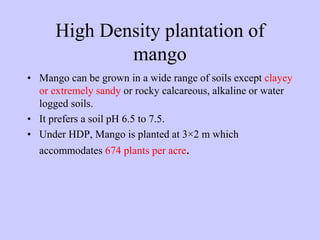 High Density plantation of
mango
• Mango can be grown in a wide range of soils except clayey
or extremely sandy or rocky c...