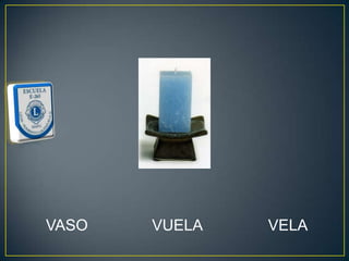 VASO   VUELA   VELA
 