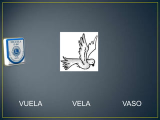 VUELA   VELA   VASO
 