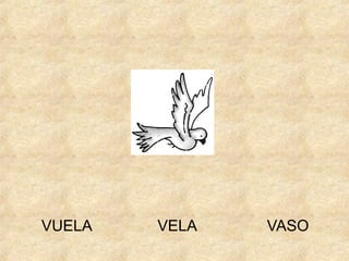 VUELA

VELA

VASO

 
