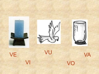 VU

VE
VI

VA
VO

 