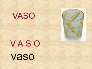 VASO
VASO

vaso

 