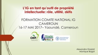 L’IG en tant qu’outil de propriété
intellectuelle: rôle, utilité, défis
FORMATION COMITE NATIONAL IG
CAMEROUN
16-17 MAI 2017– Yaoundé, Cameroun
Alexandra Grazioli
Monique Bagal
 