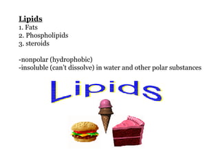 Lipids 1. Fats 2. Phospholipids 3. steroids -nonpolar (hydrophobic)‏ -insoluble (can’t dissolve) in water and other polar substances 