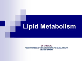 Lipid Metabolism
 
