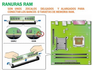 RANURAS RAM
  SON UNOS ZOCALOS DELGADOS Y ALARGADOS PARA
  CONECTAR LOS BANCOS O TARJETAS DE MEMORIA RAM.
 