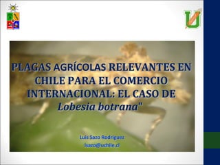 PLAGAS AGRÍCOLAS RELEVANTES EN
CHILE PARA EL COMERCIO
INTERNACIONAL: EL CASO DE
Lobesia botrana"
Luis Sazo Rodríguez
lsazo@uchile.cl

 