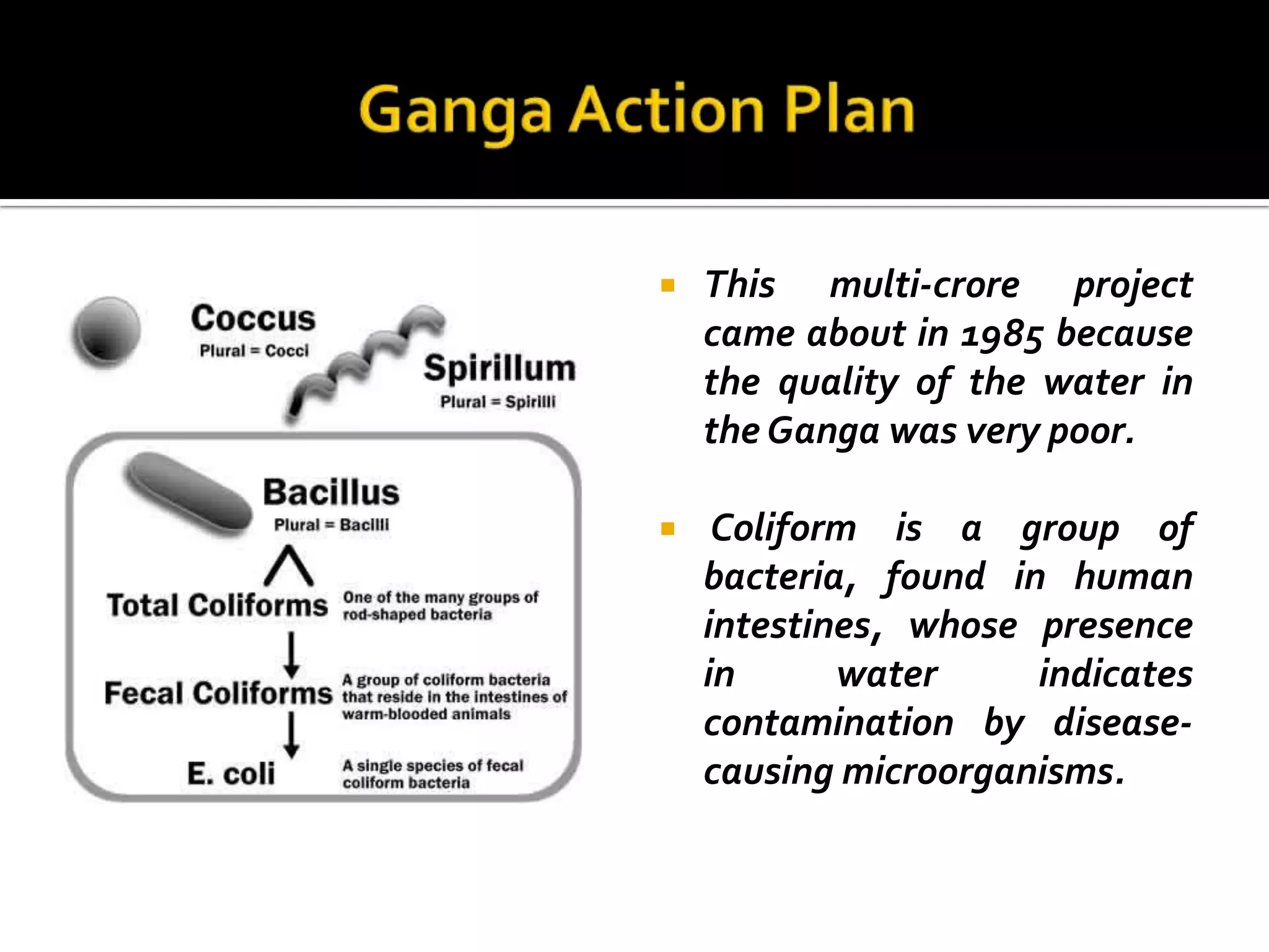    This multi-crore project
    came about in 1985 because
    the quality of the water in
    the Ganga was very poor.

    Coliform is a group of
    bacteria, found in human
    intestines, whose presence
    in      water     indicates
    contamination by disease-
    causing microorganisms.
 