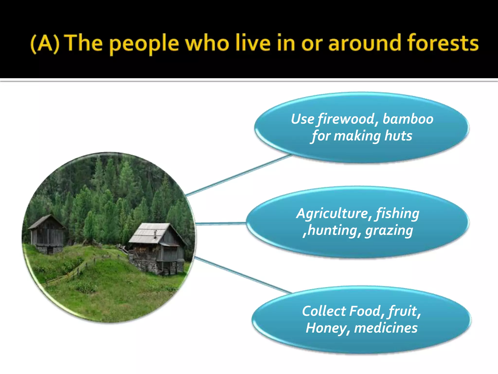 Use firewood, bamboo
   for making huts




Agriculture, fishing
 ,hunting, grazing




 Collect Food, fruit,
 Honey, medicines
 
