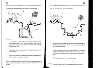 Manual do Arquiteto Descalço_Parte1