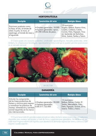 Colombia: Manual para emprendedores