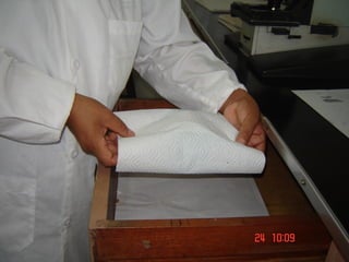 6.  medidas de protección personal