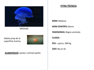FITXA TÈCNICA




                                       NOM: Medusa

                                       NOM CIENTÍFIC: Borns
                MEDUSA
                                       TAXONOMIA: Regne animalia

Habita prop de la                      CLASSE: -
superfície marina.
                                       PES: + grans, 200 kg

                                       CRIT: No en té
ALIMENTACIÓ: peixos i animals petits
 