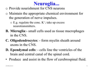 Neuroglia...
o Provide nourishment for CNS neurons
o Maintain the appropriate chemical environment for
the generation of nerve impulses.
o E.g. regulate the conc. K+; take up excess
neurotransmitters.
B. Microglia:- small cells used as tissue macrophages
in the CNS.
C. Oligodendrocytes: - form myelin sheath around
axons in the CNS.
D. Ependymal cells: - cells line the ventricles of the
brain and central canal of the spinal cord.
• Produce and assist in the flow of cerebrospinal fluid.
29/08/2023 8
 