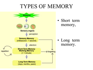 TYPES OF MEMORY Short term memory, Long term memory. 