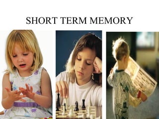 SHORT TERM MEMORY 