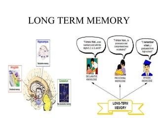 LONG TERM MEMORY 