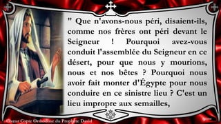 Chœur Copte Orthodoxe du Prophète DavidChœur Copte Orthodoxe du Prophète David
" Que n'avons-nous péri, disaient-ils,
comme nos frères ont péri devant le
Seigneur ! Pourquoi avez-vous
conduit l'assemblée du Seigneur en ce
désert, pour que nous y mourions,
nous et nos bêtes ? Pourquoi nous
avoir fait monter d'Égypte pour nous
conduire en ce sinistre lieu ? C'est un
lieu impropre aux semailles,
9ème
 