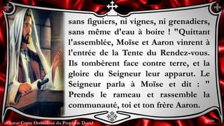 Chœur Copte Orthodoxe du Prophète DavidChœur Copte Orthodoxe du Prophète David
sans figuiers, ni vignes, ni grenadiers,
sans même d'eau à boire ! "Quittant
l'assemblée, Moïse et Aaron vinrent à
l'entrée de la Tente du Rendez-vous.
Ils tombèrent face contre terre, et la
gloire du Seigneur leur apparut. Le
Seigneur parla à Moïse et dit : "
Prends le rameau et rassemble la
communauté, toi et ton frère Aaron.
9ème
 