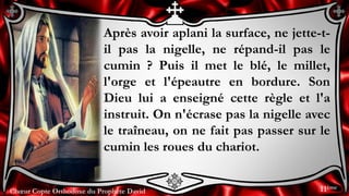 Chœur Copte Orthodoxe du Prophète DavidChœur Copte Orthodoxe du Prophète David
Après avoir aplani la surface, ne jette-t-
il pas la nigelle, ne répand-il pas le
cumin ? Puis il met le blé, le millet,
l'orge et l'épeautre en bordure. Son
Dieu lui a enseigné cette règle et l'a
instruit. On n'écrase pas la nigelle avec
le traîneau, on ne fait pas passer sur le
cumin les roues du chariot.
11ème
 