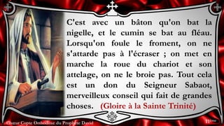 Chœur Copte Orthodoxe du Prophète DavidChœur Copte Orthodoxe du Prophète David
C'est avec un bâton qu'on bat la
nigelle, et le cumin se bat au fléau.
Lorsqu'on foule le froment, on ne
s'attarde pas à l'écraser ; on met en
marche la roue du chariot et son
attelage, on ne le broie pas. Tout cela
est un don du Seigneur Sabaot,
merveilleux conseil qui fait de grandes
choses. (Gloire à la Sainte Trinité)
11ème
 