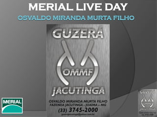 MERIAL LIVE DAY
 